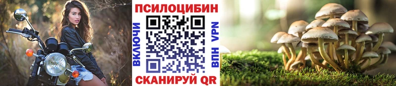 Галлюциногенные грибы MAGIC MUSHROOMS  Купить где  Волхов 